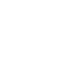 Team 33 negative logo